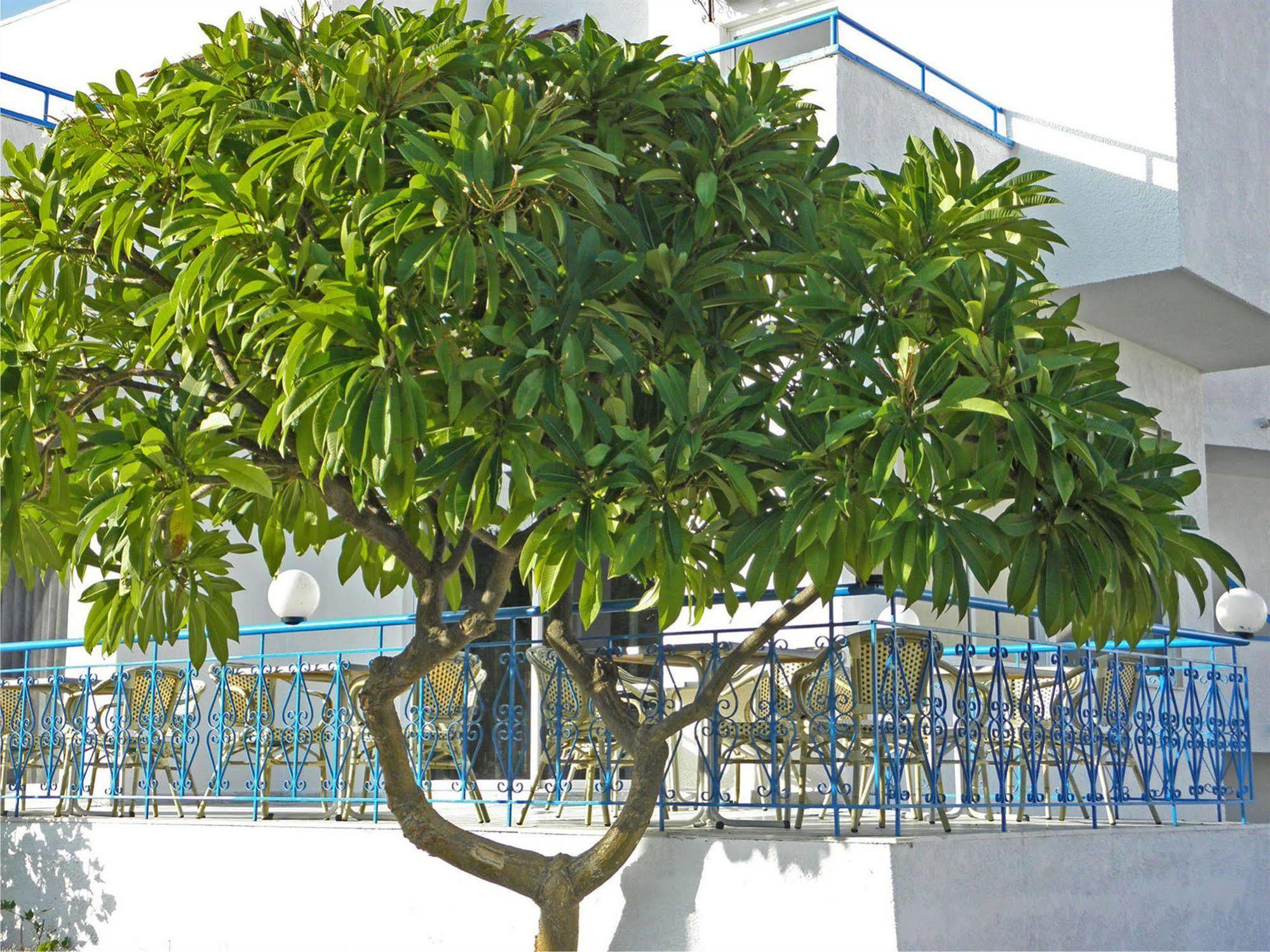 Summer Breeze Gennadi Exterior photo